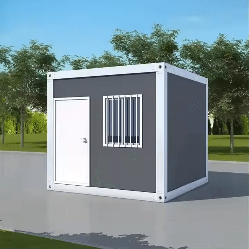 Standard Basic Model